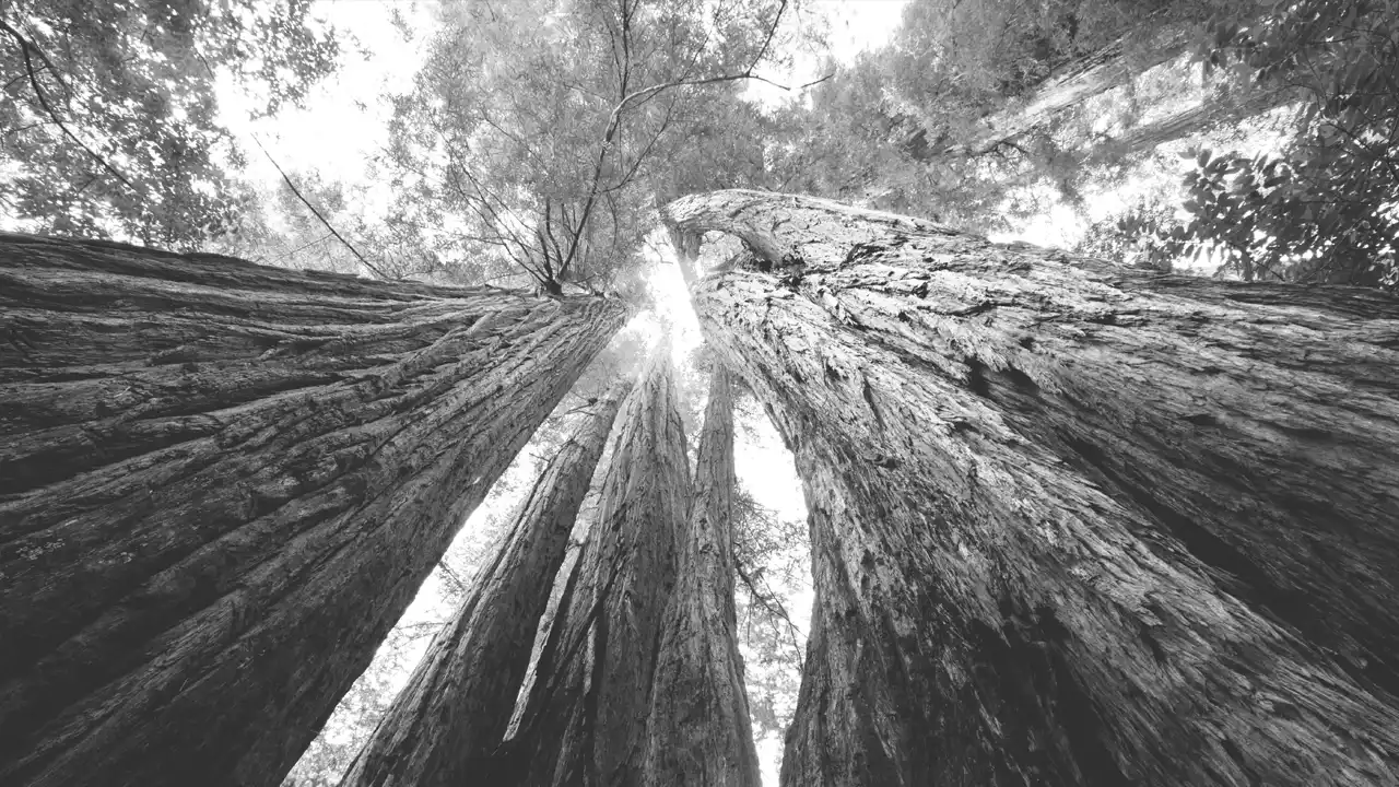 The Mentors Abu Dhabi