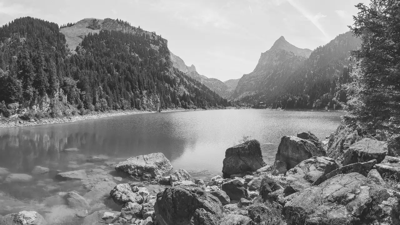 The Mentors Abu Dhabi