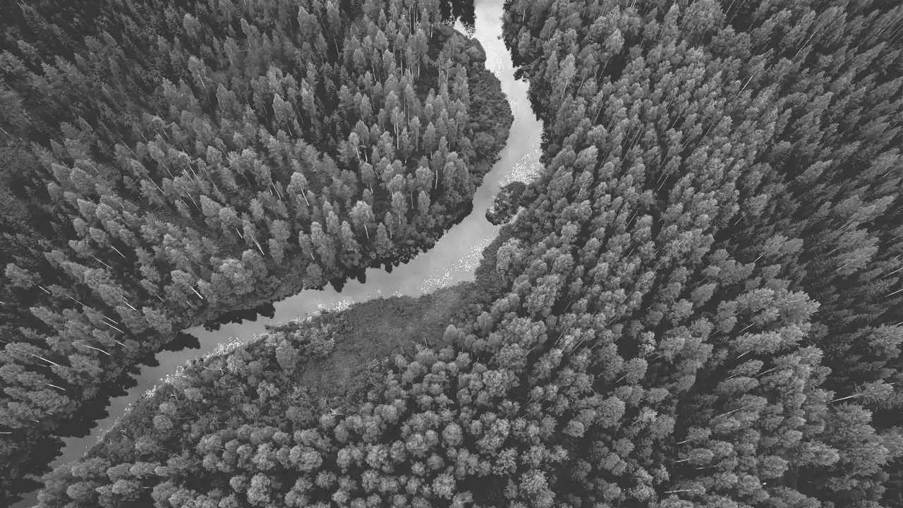 The Mentors Abu Dhabi