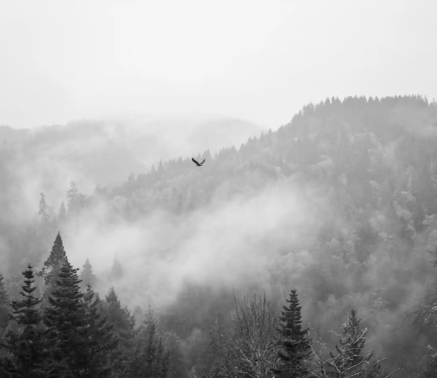 The Mentors Abu Dhabi