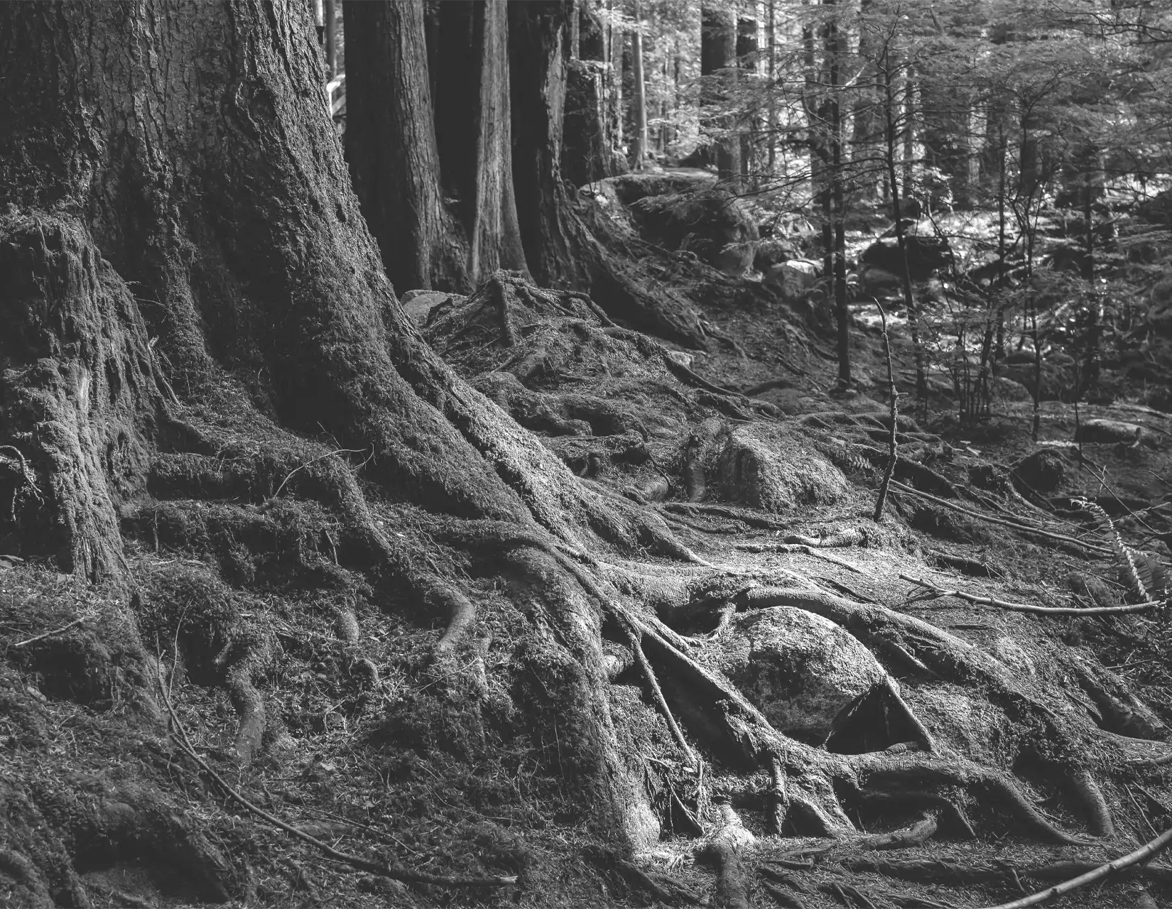 The Mentors Abu Dhabi