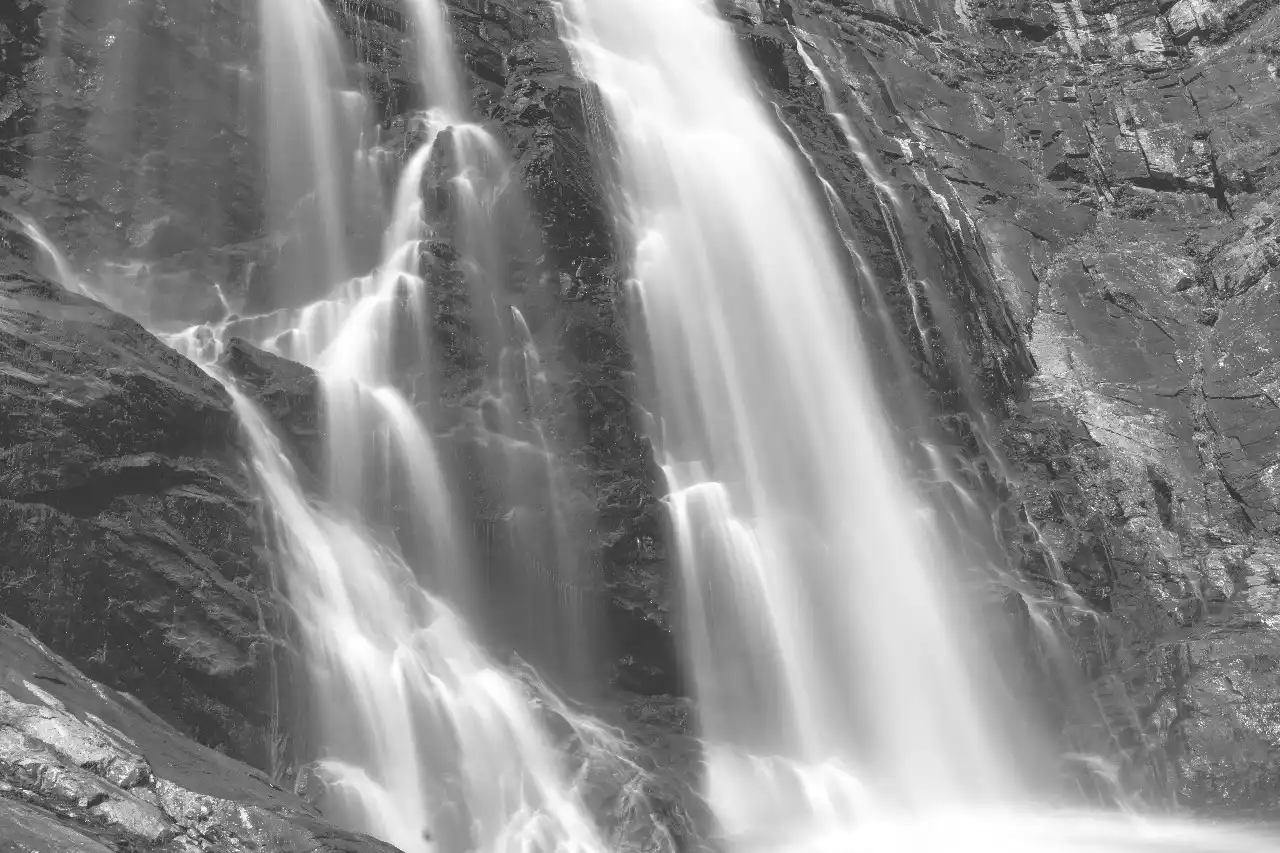 The Mentors Abu Dhabi