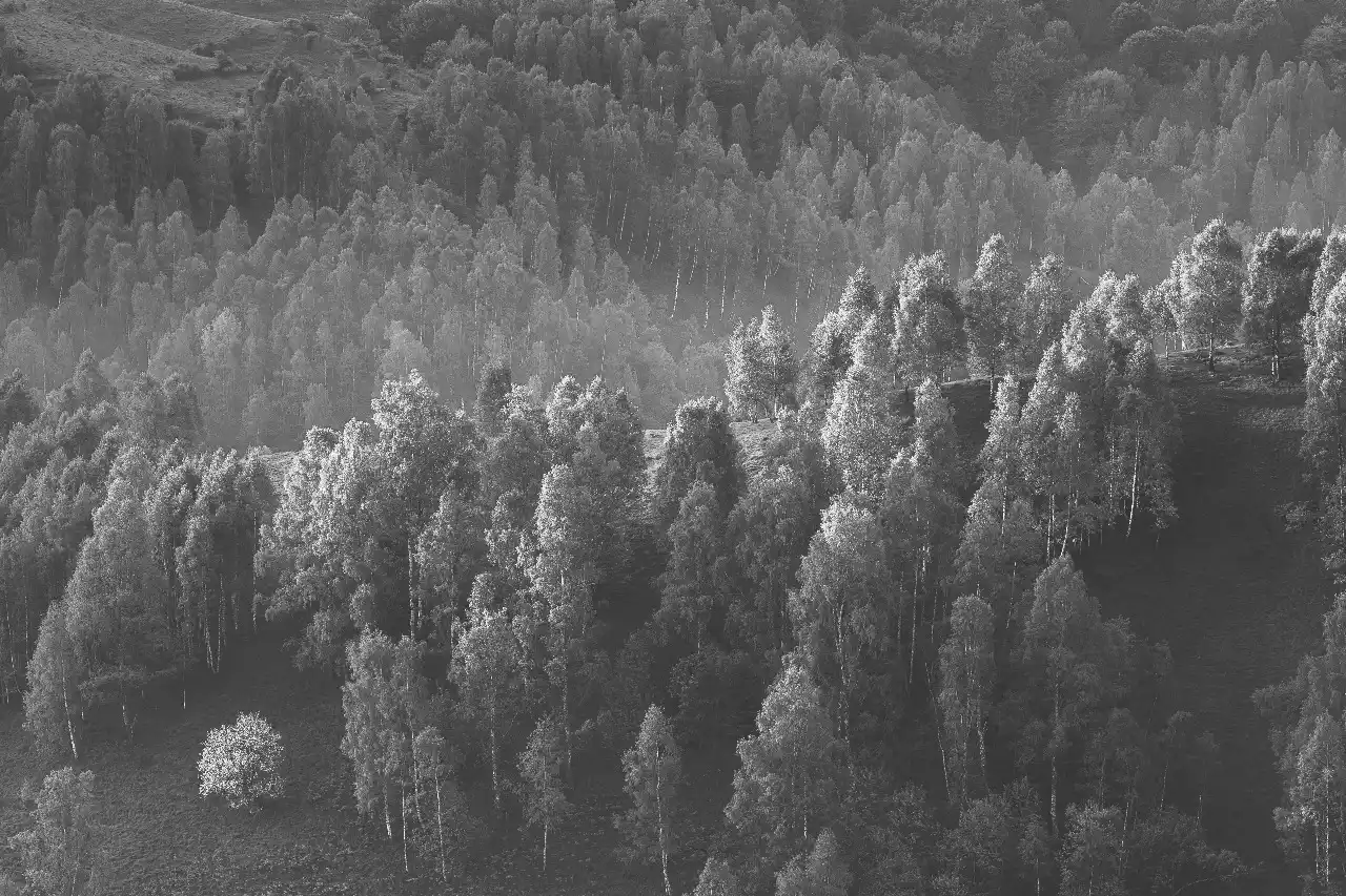 The Mentors Abu Dhabi